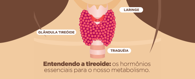 Considerações gerais sobre a hipófise - Distúrbios hormonais e